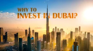 Reasons to Invest in Dubai